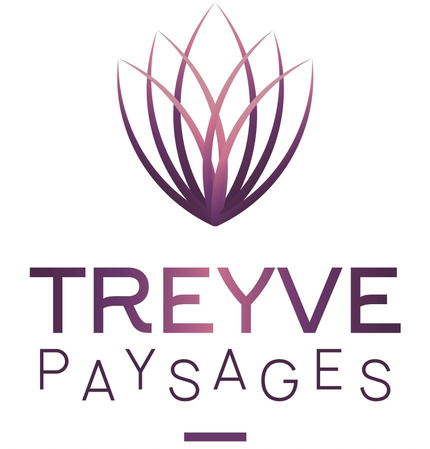 Treyve paysages